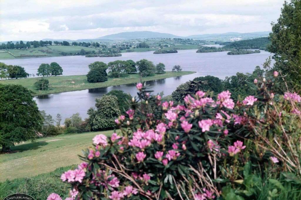 Glenmount Castleblayney Βίλα Εξωτερικό φωτογραφία